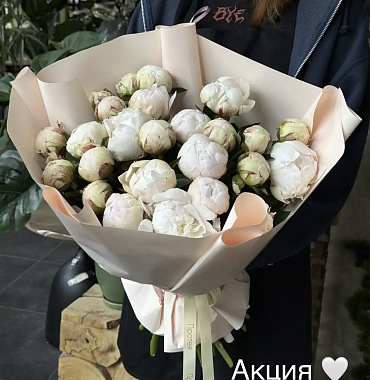 Букет из 25 белых пионов
